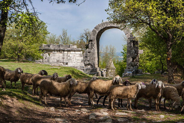 Sesto classificato Milarix Area archeologica di Carsulae presso Terni Wiki ama l’Italia, l’Italia ama i suoi monumenti. E li fotografa, portando il suo contributo agli oltre 200mila scatti del concorso on-line che immortala le meraviglie del mondo