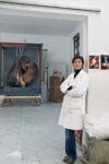berlinde in her studio 55° Biennale di Venezia, habemus Belgium. Sarà Berlinde De Bruyckere a rappresentare il padiglione fiammingo, con le sue sculture maestose e fragili. Si brinda anche in casa Continua