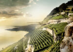 dezeen Wine Museum in Lavaux by Mauro Turin Architectes ss 3 Metti un museo tra la montagna e il cielo, sospeso sul lago. L'edificio di Mauro Turin celebra i vigneti nei dintorni di Ginevra. Quando l'immaginazione decide di sfidare il paesaggio