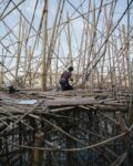 Doug e Mike Starn Big Bambù Macro Testaccio Roma 6 Enel Contemporanea sale sopra i tetti di Roma, ma nel bilico di un canneto. I Gemelli Starn allestiscono un organismo di bambù di fronte ai padiglioni del Macro. Video in anteprima