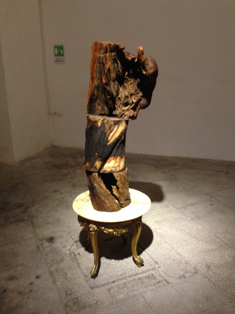 foto 44 Ricordando Brancusi. Jimmie Durham a Palazzo Reale di Napoli celebra la potenza del legno e della pietra lavica, con una grande personale. Videoblitz di Artribune e qualche scatto