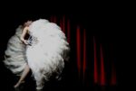 31 Et voilà: le burlesque est royal