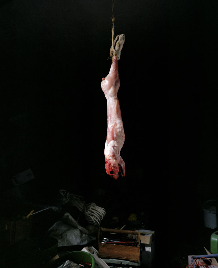 Anne Golaz La remise au lapin de la sÇrie Scänes Rurales 2008 Spazio Officina Chiasso Alla Biennale di Chiasso la fotografia è donna