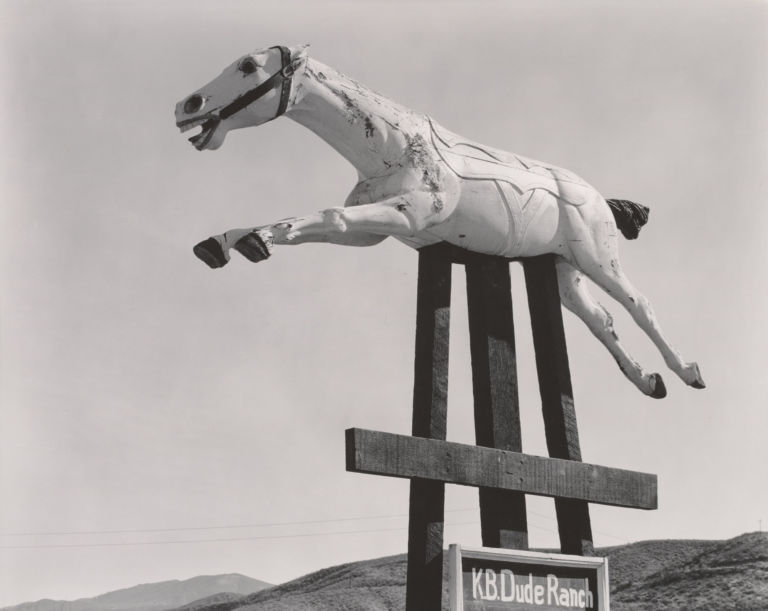 Edward Weston Horse KB Dude Ranch 1938 Il grand tour di Edward Weston