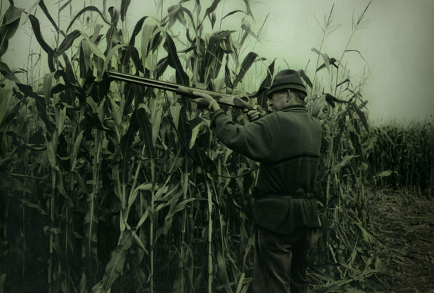 La nature verificate di Ingar Krauss