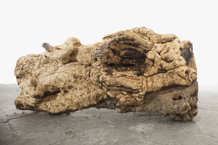 Jimmie Durham - Wood, stone and friends - veduta della mostra presso Palazzo Reale, Napoli 2012