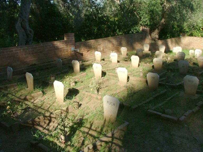 cimitero dei cani Sotto a chi chiude. Villa Piccolo: miseria o nobiltà?