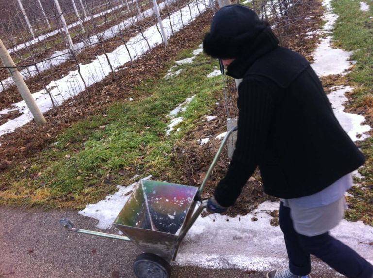foto 5 prove in caso di neve 175 ettari di memoria. A Trento Valentina Miorandi chiede a tutti di camminare. Ricordando la tragedia di Auschwitz-Birkenau