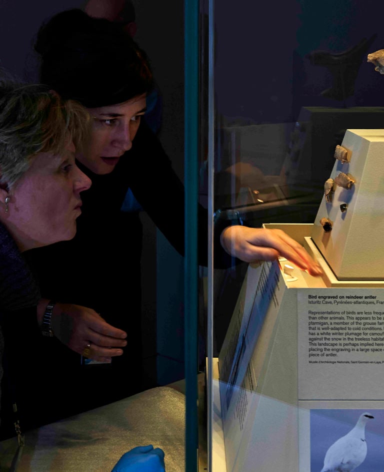 01301882 001 Preistoria e modernità, un dialogo "glaciale" al British Museum di Londra. Apre "Ice Age Art", tra reperti millenari e capolavori di Picasso e Matisse. Qualche scatto nel giorno dell'opening