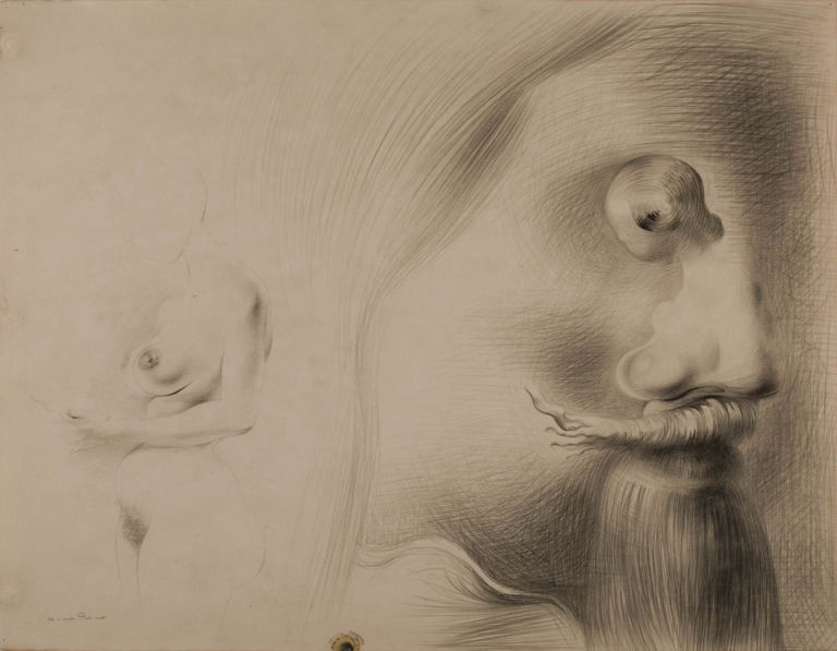 2. Dali Study for The Image Disappears Il disegno, che profondità