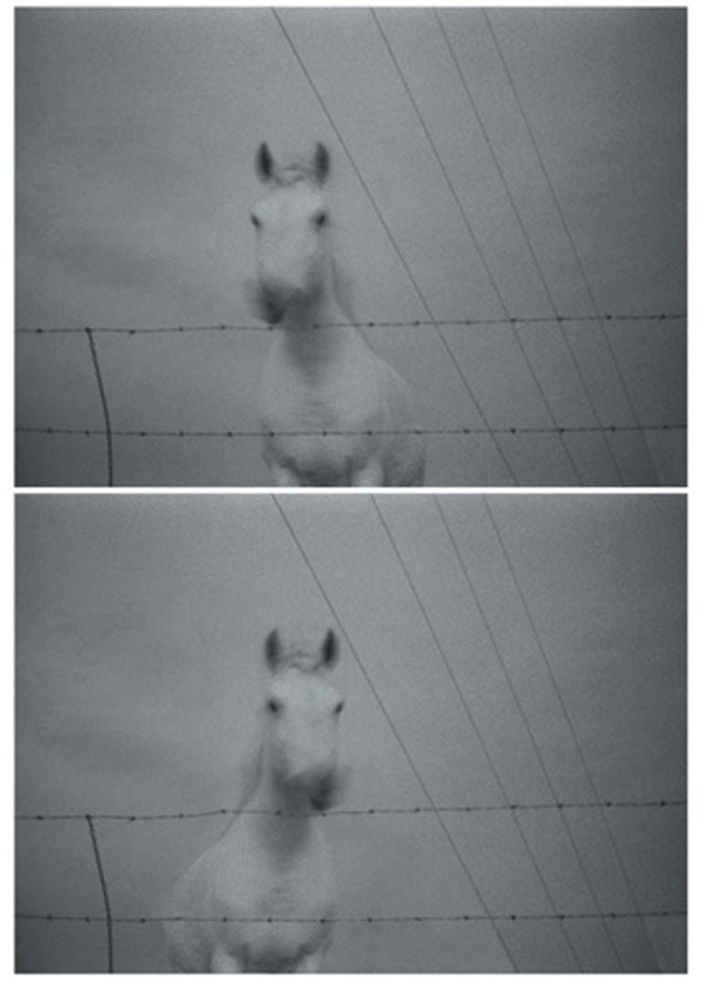 Jacopo Miliani “Straddle” 2007 Incontri (non troppo) inattesi