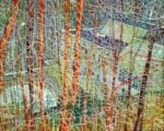 Peter Doig The Architects Home in the Ravine Londra contemporanea. Dopo le aste di impressionisti e moderni, Sotheby’s, Christie’s e Phillips affrontano la settimana più attesa: occhi puntati su Bacon e Basquiat