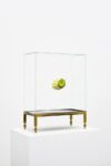 David Casini uHu 2012 ottone vetro legno resina seme disidratato h 39x30x15 cm La galleria e lo spazio non profit. Quando la pittura fa tendenza
