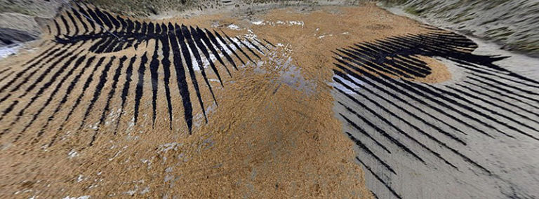 Jorge Rodriguez Gerada 5 Land art in difesa dei diritti delle donne. Jorge Rodriguez-Gerada trasforma un'isolletta olandese in un volto femminile. Un progetto insieme alla fondazione Mama Cash