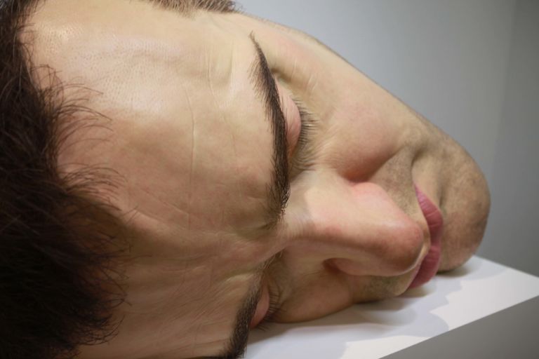 20 Mask II AP 2002 particolare Ron Mueck a Parigi. Fenomenologia di una star timida