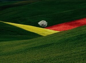 Fontana, il fotografo della sintesi tra colore e geometrie