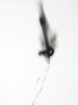 Untitled Black Explosion 1 2009 carta fotografica 305x406 cm Elia Cantori: l’energia fotografata
