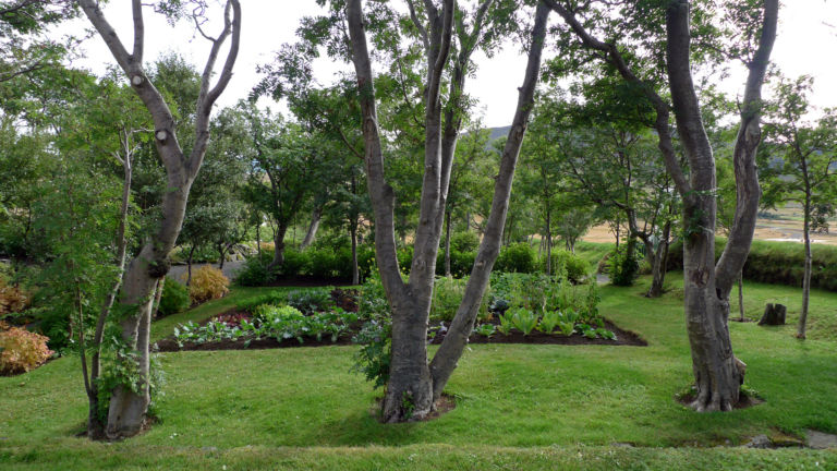 Skrudur orto e alberi Va all’Islanda la XXIV edizione del Premio Internazionale Carlo Scarpa per il Giardino. Cerimonia a Treviso, con tre giornate di approfondimento a cura dalla Fondazione Benetton