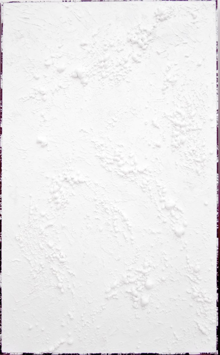 UTF 8Roman LisÌŒka Untitled white texture diptych II 2013 Milano: scultopittura alla Brand New Gallery