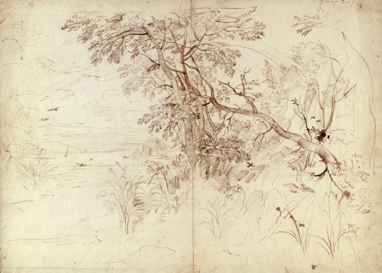 Veduta di alberi e canne palustri con uccelli e una volpe Gaspar van Wittel. O della genesi del vedutismo