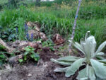 il giardino promesso dettaglio installazione I promessi sposi a Forte Marghera