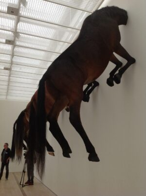 Basel Updates: geniale o sfiancato? Maurizio Cattelan alla Fondation Beyeler moltiplica per cinque il cavallo di “untitled”, del 2007: qui immagini e video-intervista a Francesco Bonami