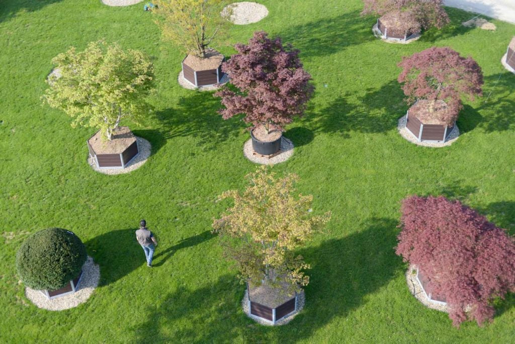 Un giardino di luce, a Pistoia. Vannucci Piante e I Guzzini, insieme per un progetto tra botanica e light design. Nasce il Nursery Park, rigoglioso, luminoso, ecosostenibile