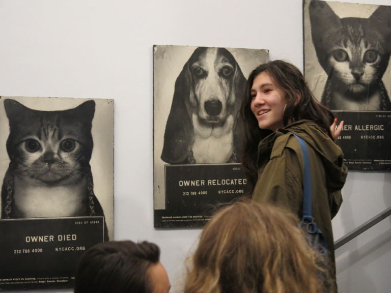 The Cat show @ white colums 03 I Magnifici 9 New York. Tra volo e natura