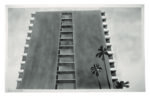 doheny drive Ed Ruscha standard analitico