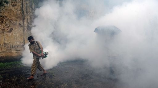 Un corridoio verde per riscattare l’India