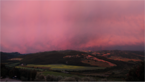 Francesco Illy, storie di caffè, di terra, di natura, di imprenditoria, ma anche di fotografia. Le opere di uno dei rampolli della grande famiglia triestina in mostra a Castiglione d’Orcia