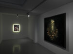 MC FaMa 04 La morte di una farfalla. Fotografie di Mat Collishaw