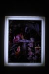 Mat Collishaw Premio Pino Pascali Polignano a Mare foto Rocco Pio Schiavone 2 e1373032565296 Mat Collishaw arriva in Puglia per la sua mostra come vincitore del Premio Pino Pascali. A qualche ora dall’opening, le immagini in anteprima…