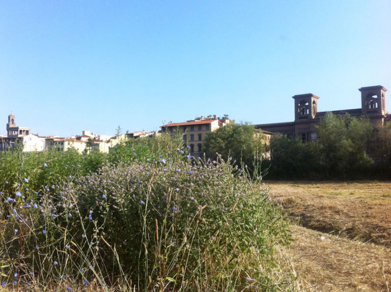 Studio ++ Il Terzo Giardino Firenze 2013 2 Vegetazione incolta? No, opera d’arte. A Firenze torna per il secondo anno il progetto botanico-sociale “Il Terzo Giardino”: lo scorso anno fu distrutto da operai zelanti…