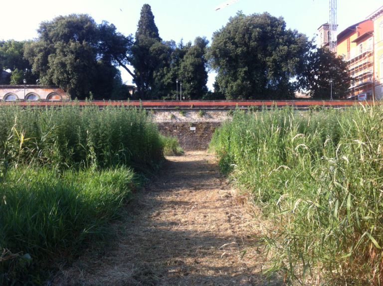 Studio ++ Il Terzo Giardino Firenze 2013 4 Vegetazione incolta? No, opera d’arte. A Firenze torna per il secondo anno il progetto botanico-sociale “Il Terzo Giardino”: lo scorso anno fu distrutto da operai zelanti…