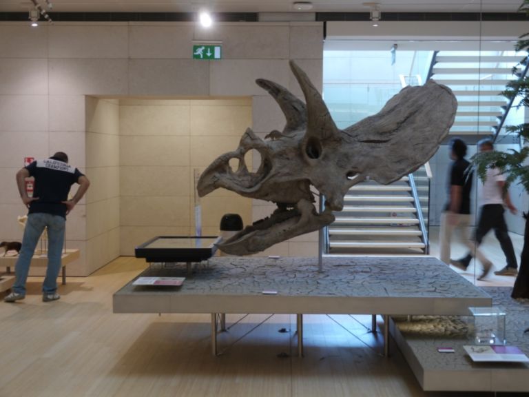 Triceratopo “La spesa per questo museo? Minima se pensiamo a tutti gli sprechi che abbiamo ogni giorno sotto gli occhi”. Così Renzo Piano in quel di Trento, dove si inaugura il suo MUSE: ecco la fotogallery dell’opening