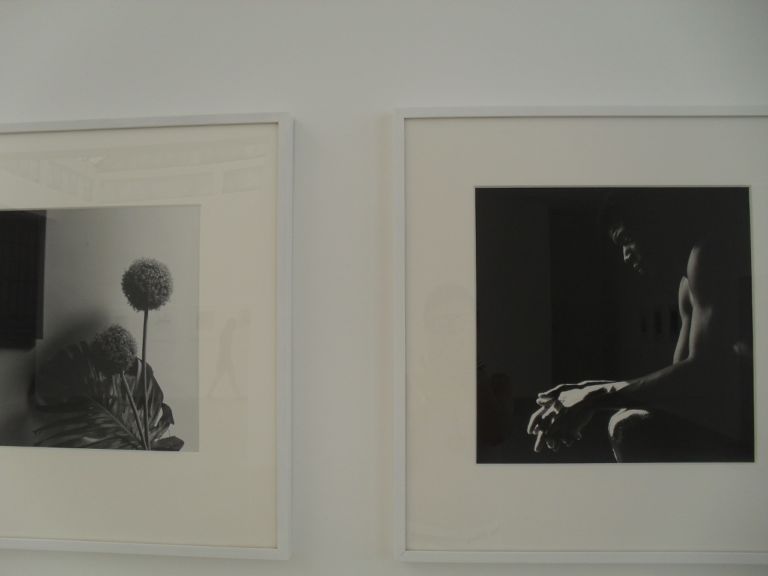 Veduta mostra Robert Mapplethorpe Franco Noero Torino 2013 12 Mapplethorpe e Mollino: la strana coppia