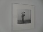 Veduta mostra Robert Mapplethorpe Franco Noero Torino 2013 8 Mapplethorpe e Mollino: la strana coppia