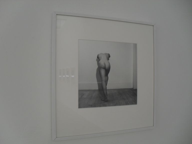 Veduta mostra Robert Mapplethorpe Franco Noero Torino 2013 8 Mapplethorpe e Mollino: la strana coppia