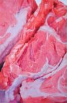 Gabriele Grones Meat cm25x165 oil on canvas 2013 Copia1 L’arte delle regole. Dolomiti Contemporanee a Cortina