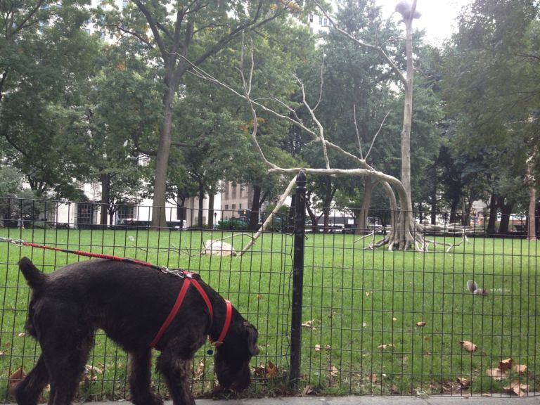 Giuseppe Penone Idee di pietra Madison Square Park New York foto Diana Di Nuzzo 2 Le Idee di pietra di Giuseppe Penone “sbocciano” a Madison Square Park. Ecco le immagini del nuovo trionfo newyorkese dell’artista