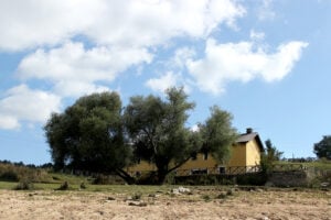 Con Alfredo Pirri al Parco Nazionale della Sila