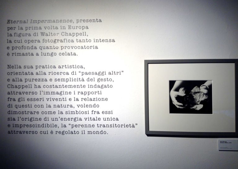 13 Materia e corpo. Ovvero Walter Chappel