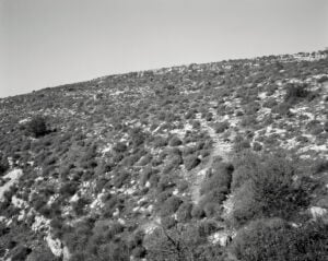 Fotografia Festival. Sempre al Macro, ma nell’edificio di Odile Decq