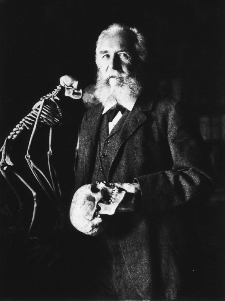 ErnstHaeckel Tributo ad Ernst Haeckel. Un viaggio tra gli abissi creativi