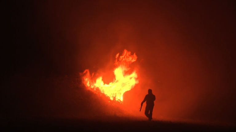 Lois Patiño La imagen arde CinemaXXI, la sezione più interessante del Festival del Film di Roma