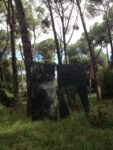 Nunzio. Linea Kounellis sparito, Mattiacci fra la spazzatura, Mochetti rubato. Il degrado di Roma si abbatte ancora sull’arte: ecco in che condizioni versa il Parco di Scultura Contemporanea di Villa Glori