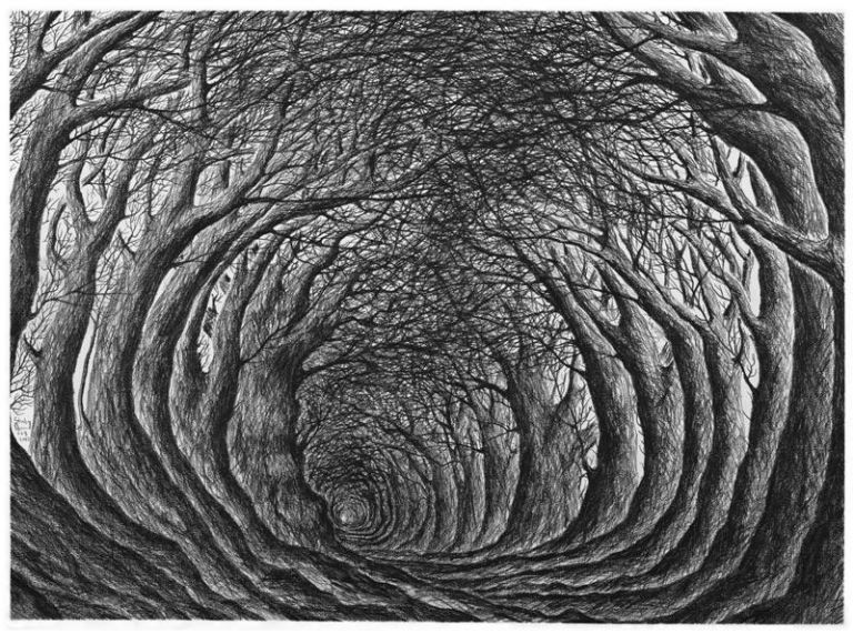 Stanley Donwood Far Away is Close in Images of Elsewhere The Ousiders Gallery Londra 20133 Stanley Donwood: la natura è animata