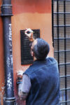 WK Dan Witz 4 Dan Witz. Street Art a Roma