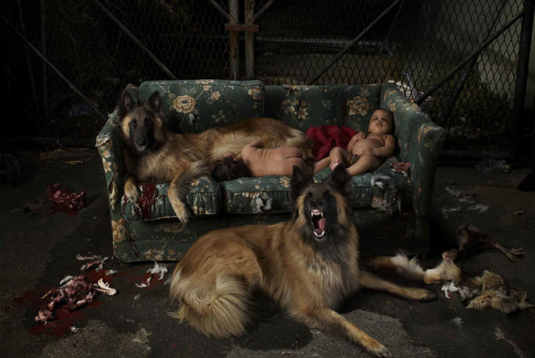 03 Children of a Lesser God lightbox by Mat Collishaw I cani e i lupi. Un tour d’autore fra gli stand di Artissima